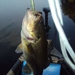 Bill Grossman - @swift.creek.lures - Instagram
