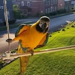 Bill Grove - @maxxbird - Instagram