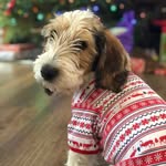 Bill Grove - @tanneryglenpbgvs - Instagram