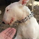 Bill Hand - @vectorsp - Instagram