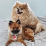 Bill Handy - @bill.handy - Instagram