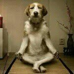 @billhand.bh - Instagram