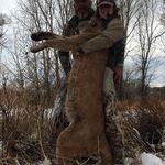 Bill Hanks - @billhanks1 - Instagram