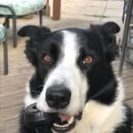 Bill Harkins - @harkinsbill - Instagram