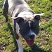 BIlly Harkins - Facebook