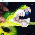 billy gage hartline - @waffle_exterminater - Instagram