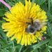 Bill Heisler - Facebook