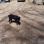 bill helmer - @hhelmer.inc - Instagram