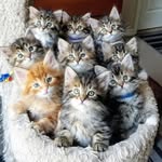 Bill Hemington - @billhemington - Instagram