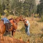 Bill Hendrickson - @billhendrickson63 - Instagram