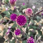 Bill - @bill_henk123 - Instagram