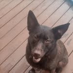 Bill Hermann - @billhermann8 - Instagram