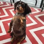 Bill Herald - @bill.herald - Instagram