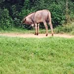 Bill Herald - @bill.herald70 - Instagram