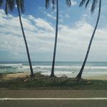 Bill Hernandez - @billhernandez4231 - Instagram