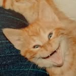 Bill Herrick - @bill.herrick.16 - Instagram