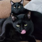 Bill Hershey - @bill.hershey.104 - Instagram