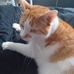 William Hewat - Facebook