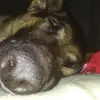 Billy Wayne Hibbs II - @billyjustdid - TikTok