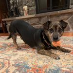 Bill Hickerson - @bill.hickerson - Instagram
