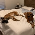 Bill Higdon - @billhigdon25 - Instagram
