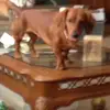 Billy Higdon - @2184907398 - TikTok