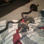 Bill Hiles - @slayer2786 - Instagram