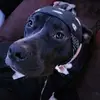 Bill Hilliard - @bill.hilliard - TikTok