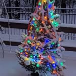Bill Himes - @willy611957 - Instagram
