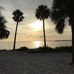 Bill Hines - @billh_24 - Instagram