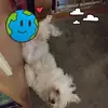 Bill Hines - @bill.hines07 - TikTok