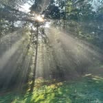 Bill Hoag - @wjh13021 - Instagram