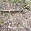user5832853102180 - @billhocking - TikTok