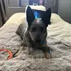 Bill Hoffmann472 - @sir_but - TikTok