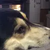 billhoffmann1 - @billhoffmann1 - TikTok