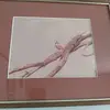 billyholcomb361 - @billyholcomb361 - TikTok
