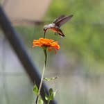 Bill Holding - @bill.holding101 - Instagram