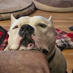 Bill Holton - @bill.holton.501 - Instagram