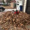 billholtz761 - @billholtz761 - TikTok