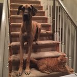 Bill Hurd - @bvibill - Instagram