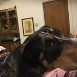 Bill Hurt - @william_r_hurt - Instagram