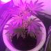Bill Ingle - Facebook