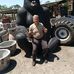 William Ireland - Facebook