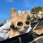 @bill____jack - Instagram