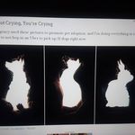 Bill Jameson - @bill.jameson.756 - Instagram
