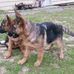Bill Jarrett - Facebook