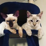 Bill And Jasper - @billandjasperpurfectadventure - Instagram