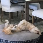 Bill Jasper - @billjasper4 - Instagram