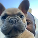 Bill joe - @bill_joe_12 - Instagram