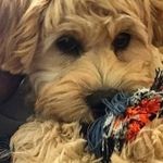 Bill Johnson - @billjohnson9830 - Instagram